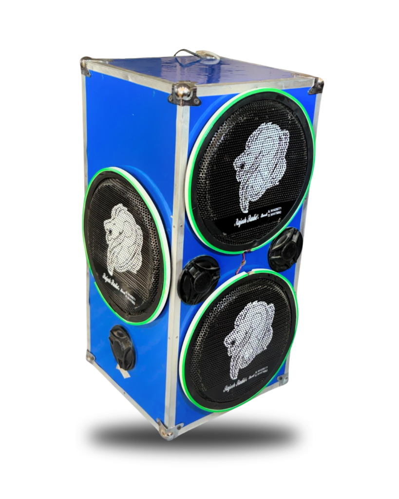 3 x 10” 120mm K sanmaika Rajesh radios bundi best speaker shop in bundi