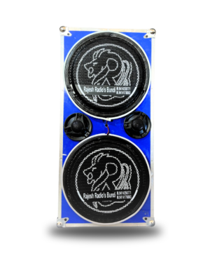 DOUBLE 10”120mm K sanmaika with light Rajesh radios bundi