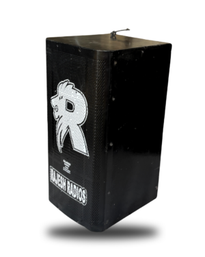 DOUBLE 10” DJ Rajesh Radios Bundi