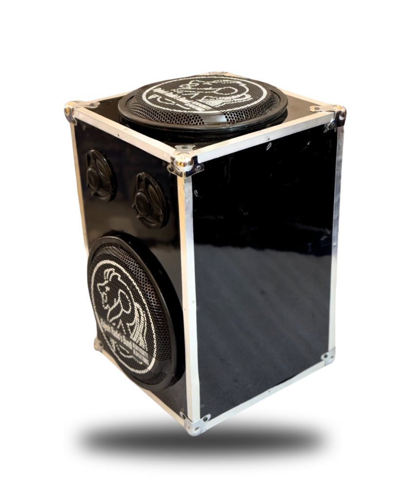 DOUBLE 10” PICKUP BOX K. Rajesh radios speaker