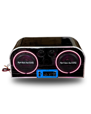 10” PUNJABI box with NEON light Rajesh radios speaker bundi