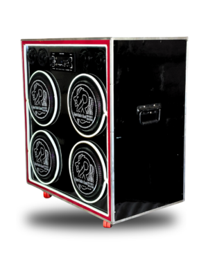 10”” PUNJABI TEPPER box with NEON light Rajesh radios speaker bundi