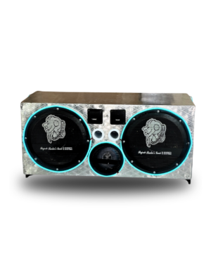 12” subwoofer PUNJABI box with NEON light Rajesh radios speaker bundi