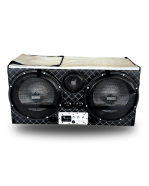15” subwoofer PUNJABI box with NEON light Rajesh radios speaker bundi