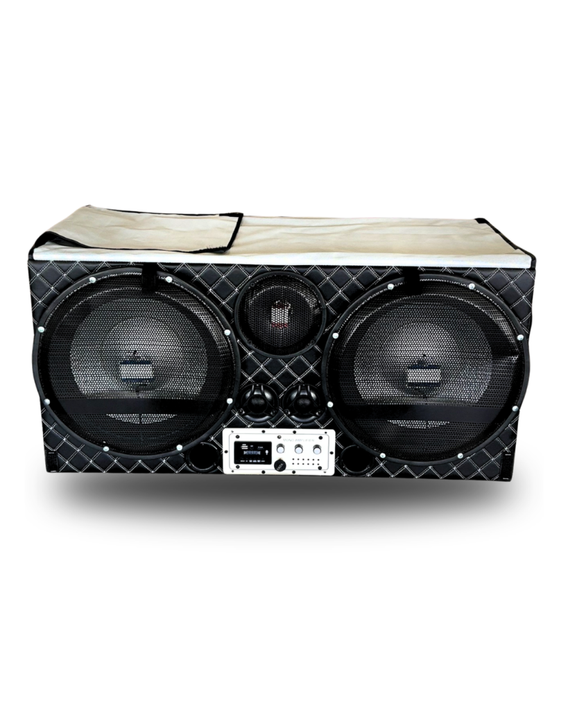 15” subwoofer PUNJABI box with NEON light Rajesh radios speaker bundi